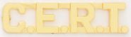 C.E.R.T. Collar Pins - 3/8" TALL